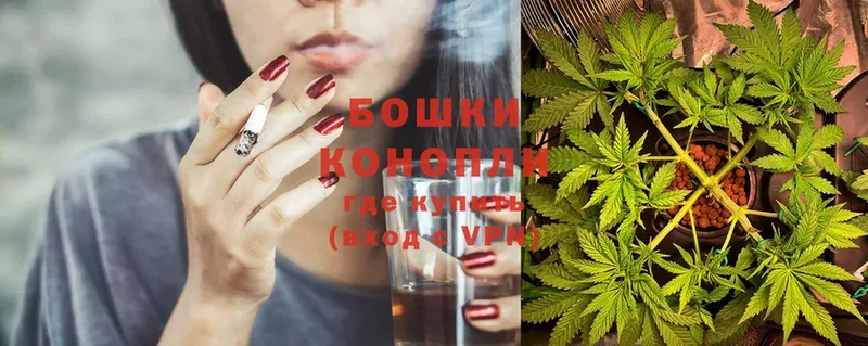 Канабис OG Kush  купить   Муравленко 